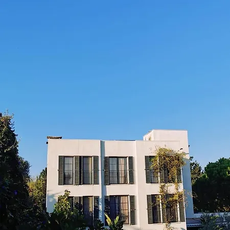 Savra Bodrum 3* Bitez