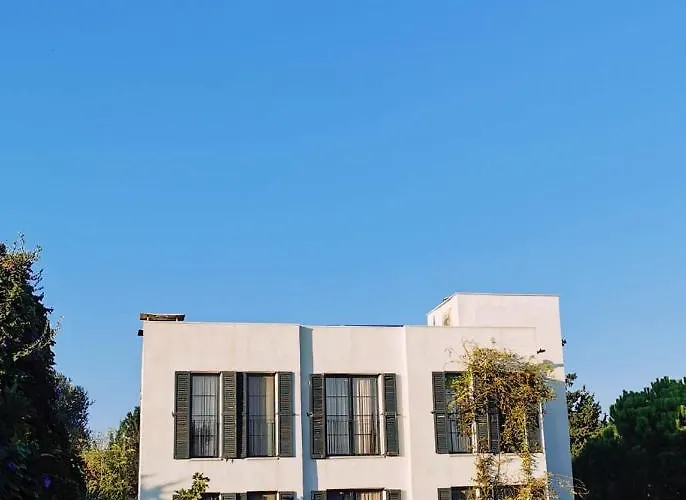 Savra Bodrum 3* Bitez